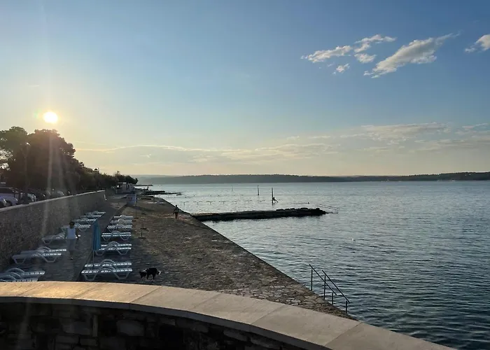 App Robi Novigrad Istria